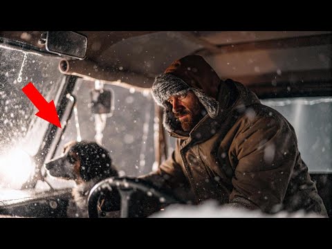 Видео: Он остановился ради комка шерсти в снегу. Последствия этого решения вас шокируют!