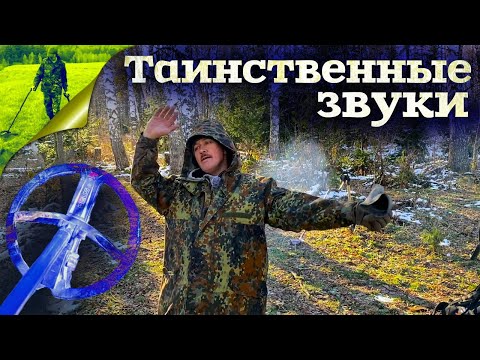 Видео: Таинственные звуки