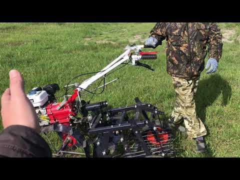 Видео: Картофелекопалка + мотоблок с валом отбора мощности. В Омиче. Кыштовка