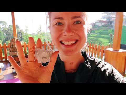 Видео: обед монаха, гималаи