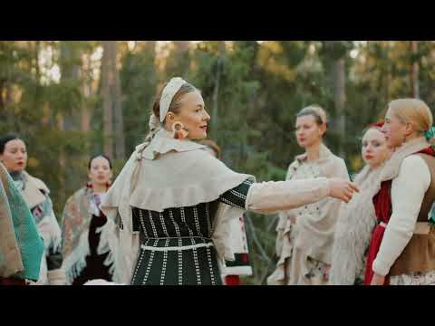 Видео: Древо