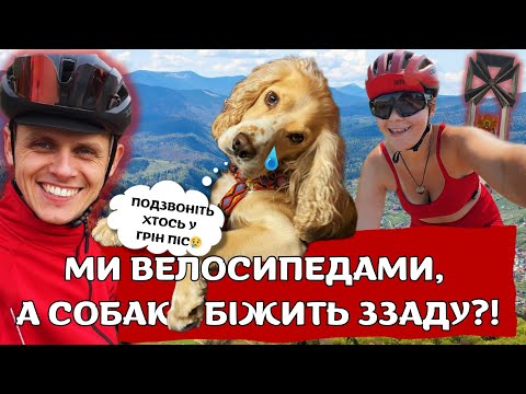 Видео: Велопохід на гору Маківка. Чи справився собака? В Карпати на велосипедах