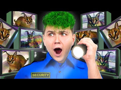Видео: 5 НОЧЕЙ у ШЛЕПЫ 😼 Five nights at Floppa