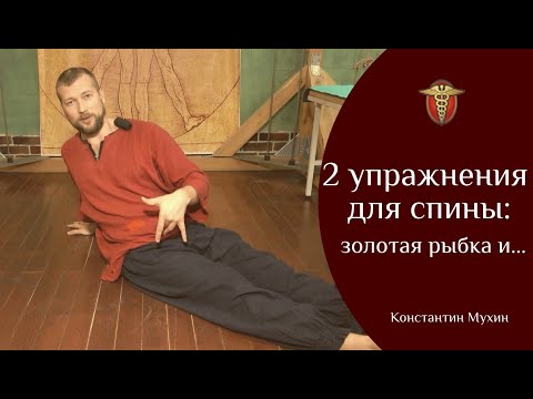 Видео: 2 упражнения для спины: золотая рыбка и... | Константин Мухин