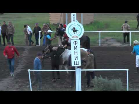 Видео: Скаковой день 11 июля. Дистанция 7000 м. Айхал