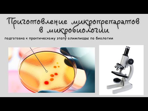 Видео: Приготовление микробиологических препаратов