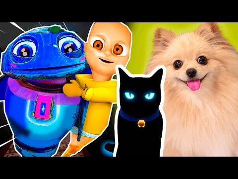 Видео: МЛАДЕНЧИК В ЖЕЛТОМ ЗАВЕЛ КОШУ ! РЕБЕНОК В ЖЕЛТОМ | Baby in Yellow