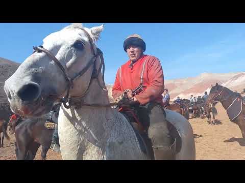 Видео: Кудай Берди балбан Атактуу Океан менен чыкты тамашага 20 февраля 2022 г.