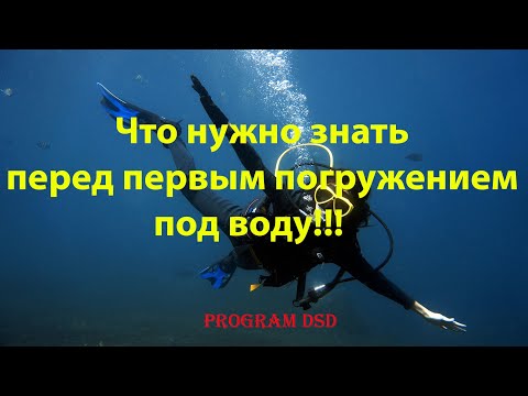 Видео: Дайвинг для новичков. Пробные погружения с аквалангом!