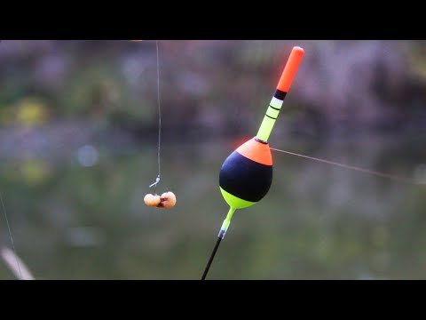 Видео: РИБОЛОВ с ЖЪЛЪДОВ ЧЕРВЕЙ-ЛОВИХ КЕФАЛИ с ПЛУВКА на ИЗТИЧАНЕ