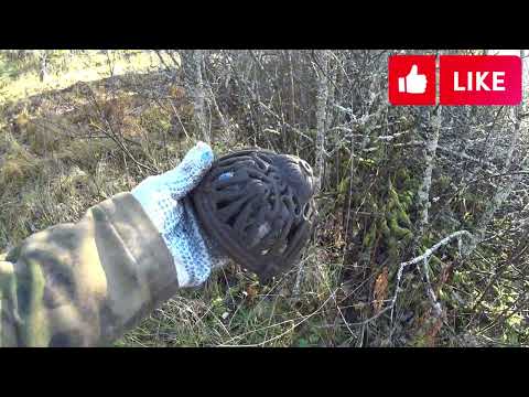 Видео: НЕВЕРОЯТНАЯ УДАЧА НА ФИНСКОМ ХУТОРЕ! Нашёл оклад от иконы и старинную запонку