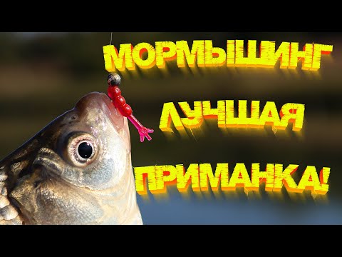 Видео: Мормышинг !!! Лучшая приманка на карася 👍 Ловит всегда и везде 💪