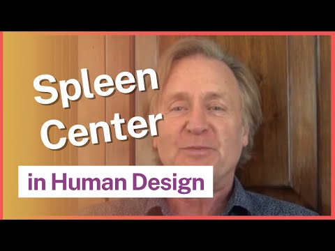 Видео: Центры Дизайна Человека: Центр Селезенки с Четаном Паркином