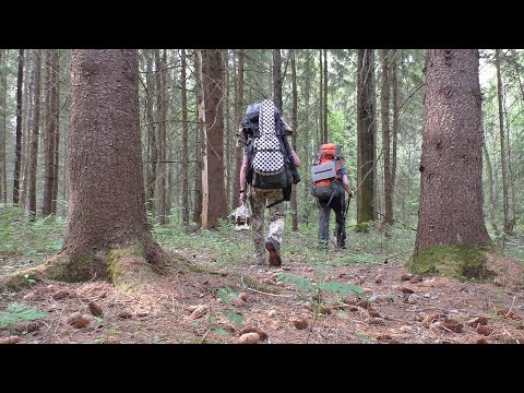 Видео: Готовим в походе ! Походная еда:  стейк, походный хлеб, картошка в фольге...