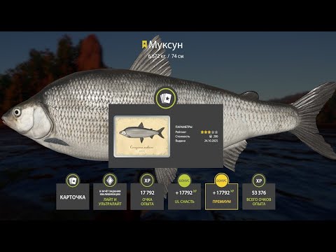 Видео: 📢СТРИМ РР4🔥ВЕЧЕРНЯЯ РЫБАЛКА В ПРИЯТНОЙ КОМПАНИИ🔥РУССКАЯ РЫБАЛКА 4