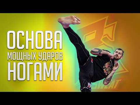 Видео: Основа мощных ударов ног / Лучшие упражнения для тренировки сильных ударов ногами