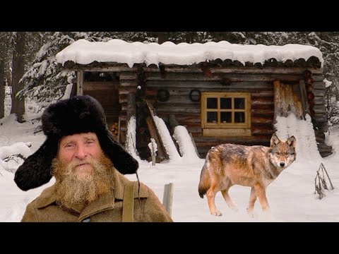 Видео: 💥/ТОП историй/ Таежные будни старого егеря/ Все части/