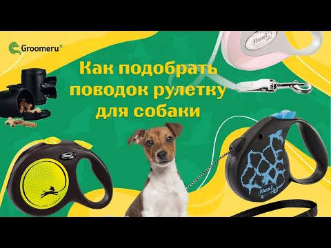 Видео: Как подобрать поводок рулетку для собаки: надежнее FLEXI не найти | гарантия на немецкое качество