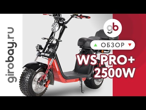 Видео: WS-PRO+ 2500W - выносливый и неприхотливый электроскутер. Бюджетная новинка 2021 от WHITE SIBERIA!