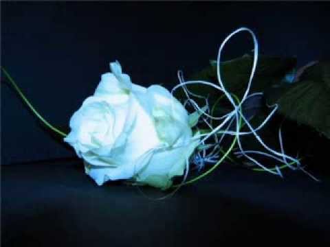 Видео: Сазка от Эльфики "Нелюбимая"