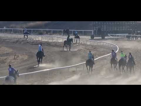 Видео: Жорго Салыш 21 03 2025