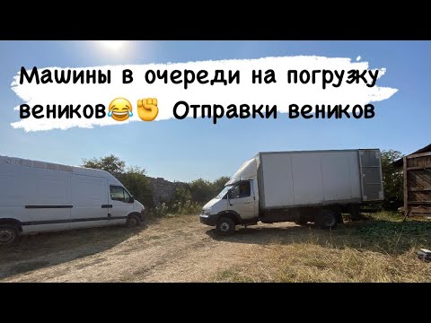 Видео: Сельский бизнес| Веники для бани| отправил  дуб липу