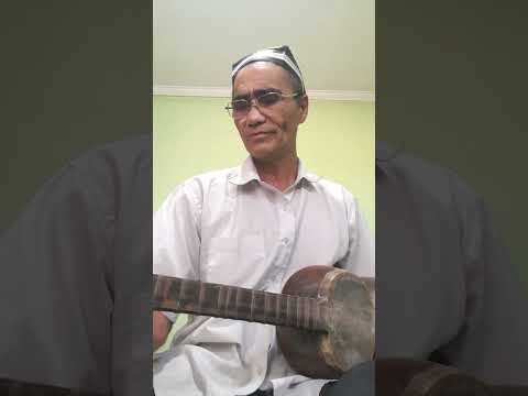 Видео: 6 сентября 2025 г.