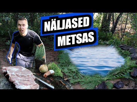 Видео: ак сделать горячую ванну в лесу и приготовить разбойничий ужин!