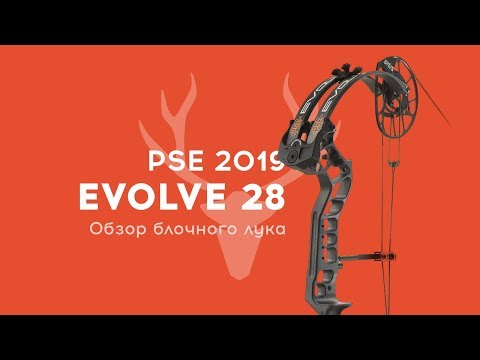 Видео: Обзор PSE Evolve 28 (2019)