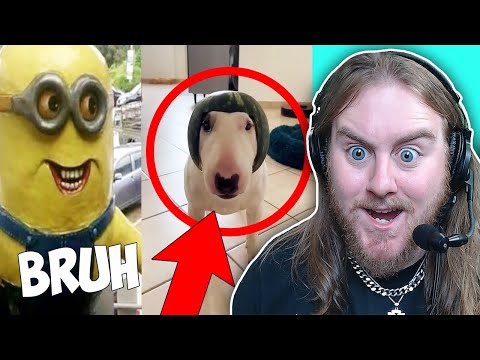 Видео: Мемы, которые действительно смешные