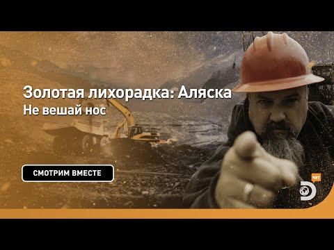 Видео: Не вешай нос | Золотая лихорадка: Аляска | Discovery