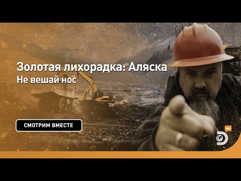 Видео: Не вешай нос | Золотая лихорадка: Аляска | Discovery