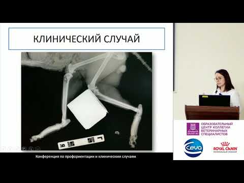Видео: 16 - Кузнецова А. Л. - Онкология
