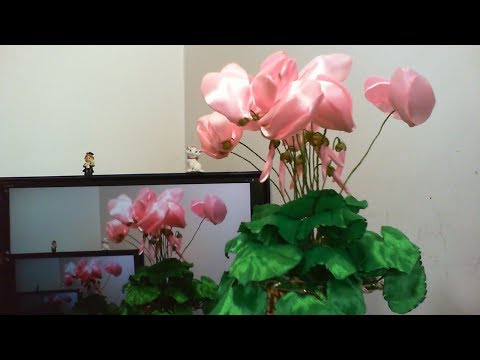 Видео: DIY/МК/Как сделать корзинку цикламенов-канзаши/Cyclamen-kanzashi