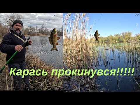 Видео: Пробудження карася: неймовірна риболовля
