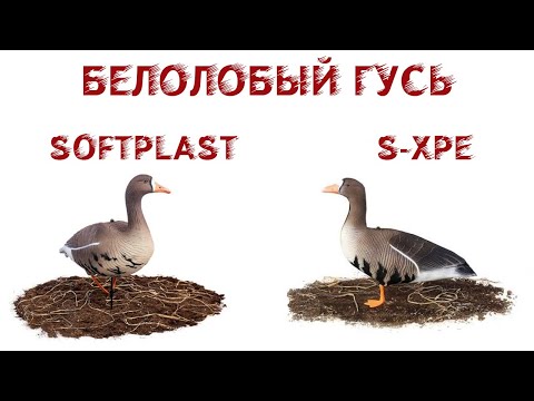 Видео: Чучела белолобого гуся SOFTPLAST 3D и North Way S-XPE