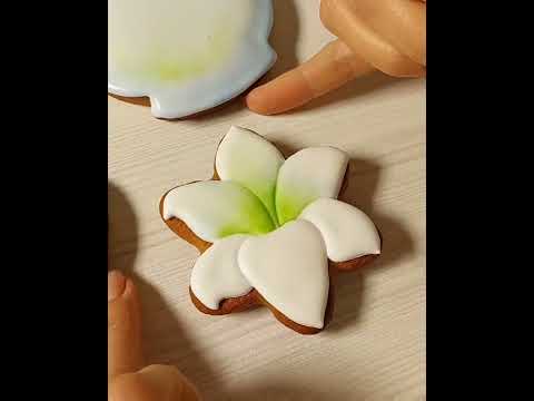 Видео: 25 октября 2024 г.