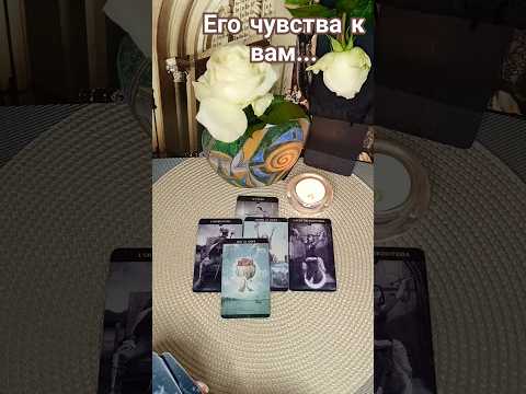 Видео: Что Он испытывает к Вам#таро#tarot ЗАВЕЛЕНАТАРО