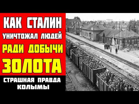 Видео: СТАЛИНСКИЕ ЛАГЕРЯ СМЕРТИ Миллионы Погибших за Золото Колымы 😱 #СССР #Сталин #ГУЛАГ