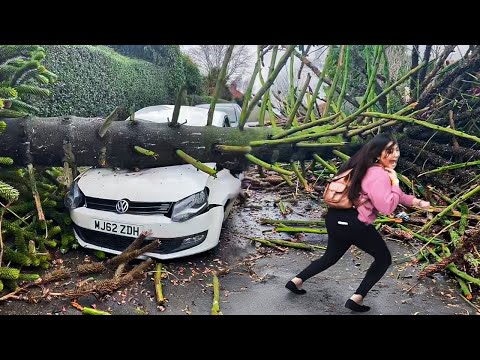 Видео: 50 Самых Везучих Людей, Снятых на Камеру