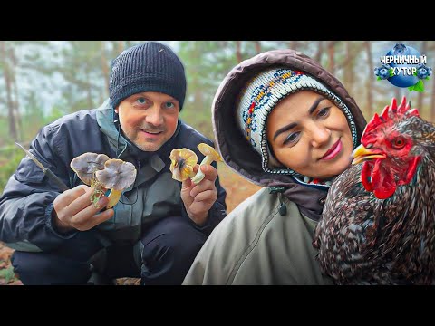 Видео: Зима, а мы выращиваем цыплят, собираем грибы, занимаемся огородом, забором и земляными работами