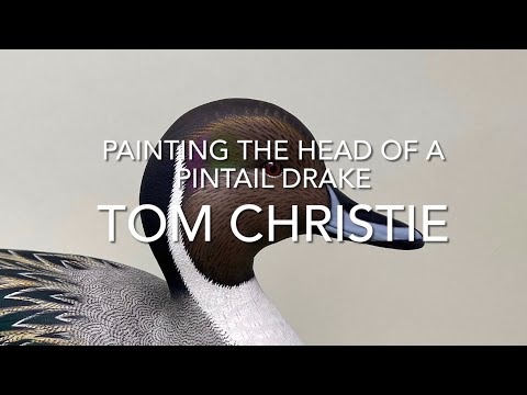 Видео: Рисование головы чучела шилохвостого селезня