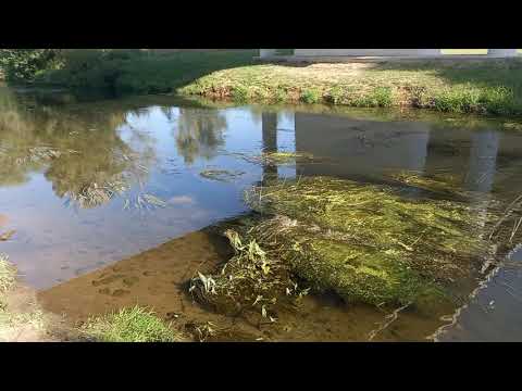 Видео: Ещё ОДИН ШАГ к ПЛАТНОЙ РЫБАЛКЕ...