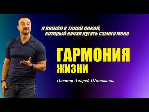 Видео: Я вошёл в такой покой, который начал пугать самого меня. Гармония жизни. Пастор Андрей Шаповалов.