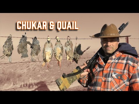 Видео: Как я получил БРУТАЛЬНЫЙ трипл на ЧУКАРЕ