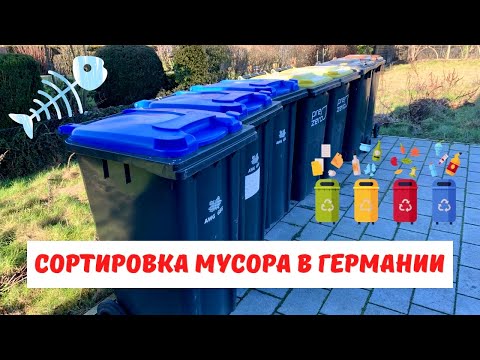 Видео: ВЛОГ🇩🇪 Сортировка мусора в Германии! - что и куда выбрасывать? - Жизнь в Германии