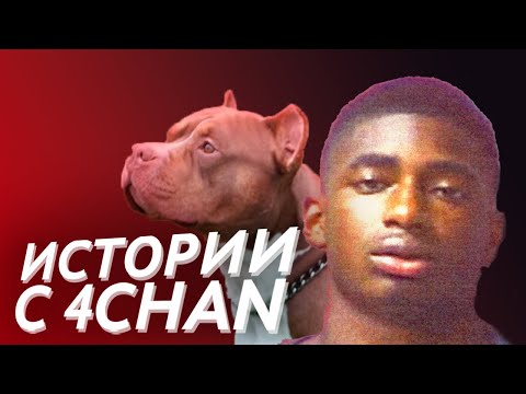 Видео: Живодёры и слежка за детьми | Истории с 4chan