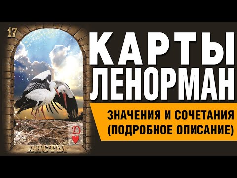 Видео: Карты Ленорман. Карта Аисты (17). Значения и сочетания карт.
