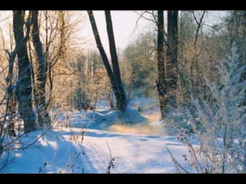 Видео: Андрей Мисин "Лей, вода" (Andrey Misin)