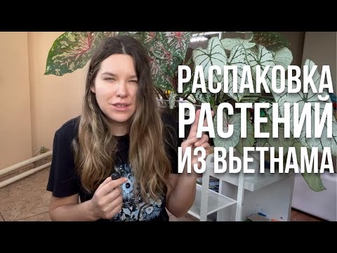 Видео: РАСПАКОВКА новых растений/ПОЛУЧИЛА много Антуриумов